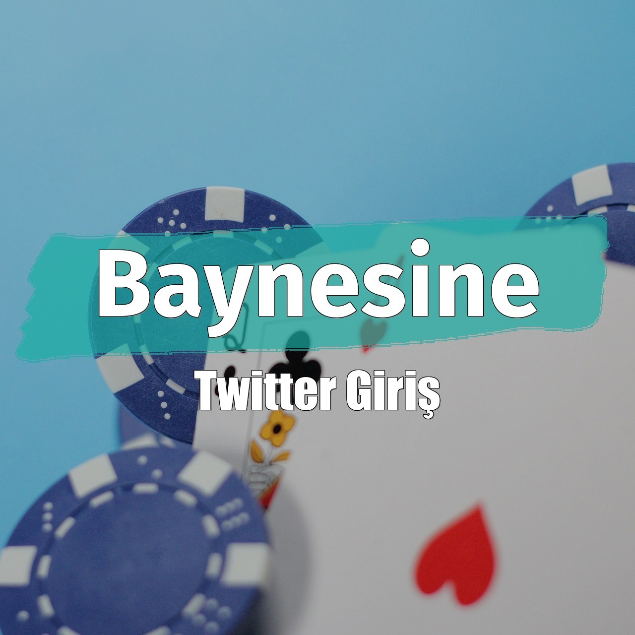 Baynesine Twitter Giriş